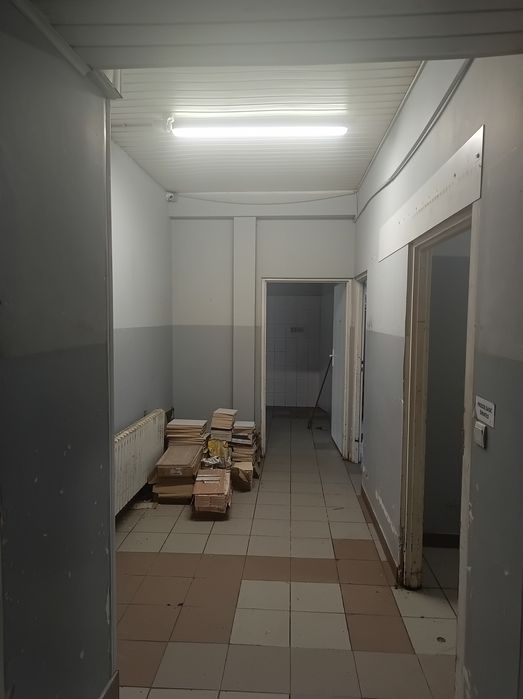 Zdjęcie 8