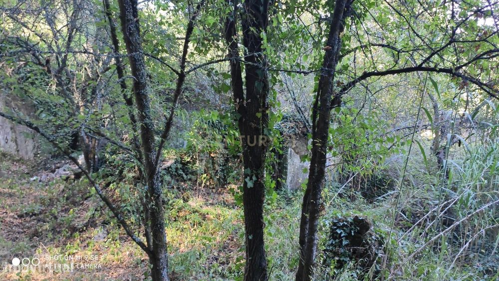 Terreno em Maceira para construção