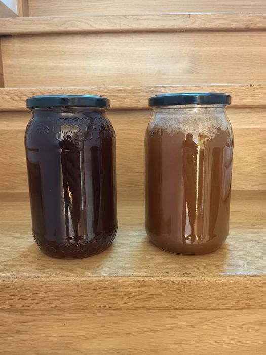 Miód   z przydomowej pasieki