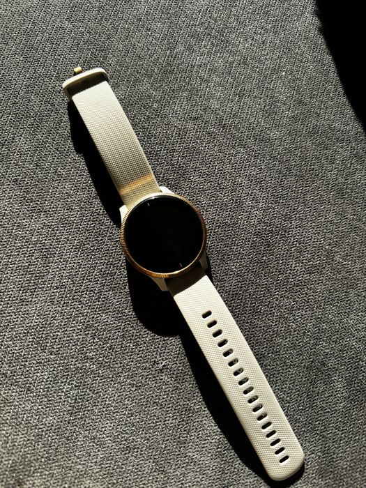 Smartwatch Garmin Venu