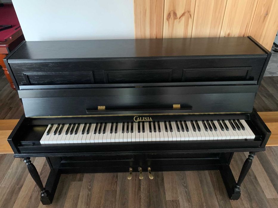 Pianino Calisia!!!