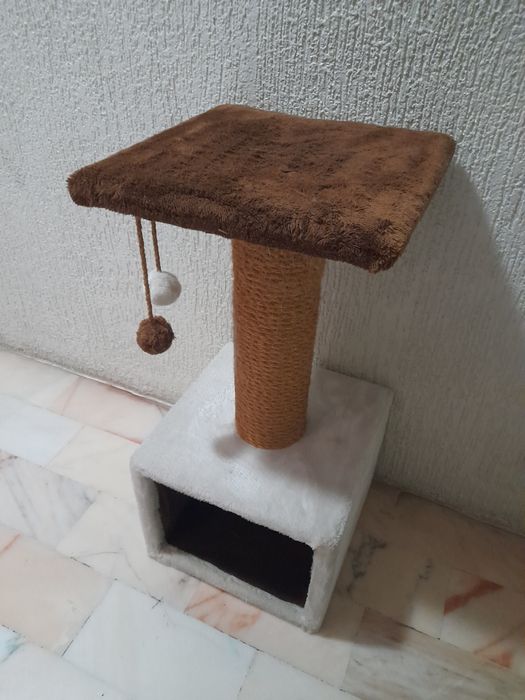 Arranhador, com estrutura forte