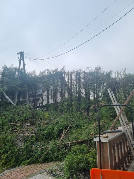 Pielęgnacja ogrodów, koszenie, przycinanie drzewka, koszenie.