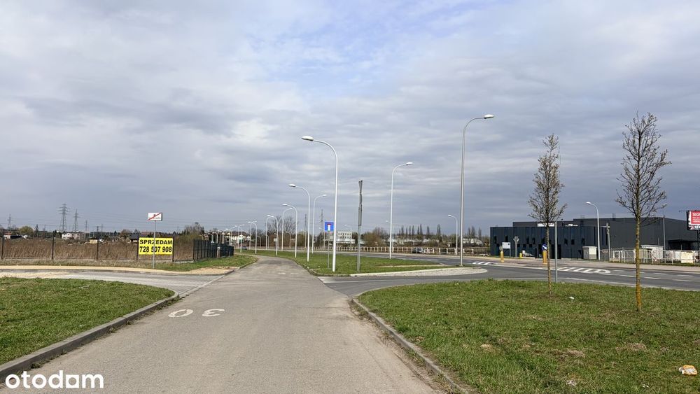 Zdjęcie 8