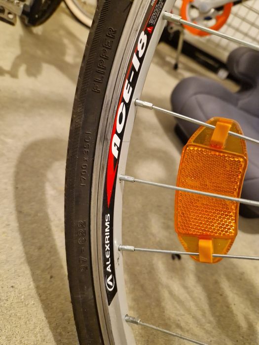 Rower Horizon size 19