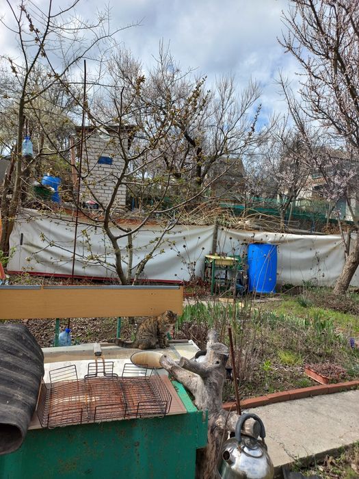 Продам дачний будиночок р-н Братського СТ Південне