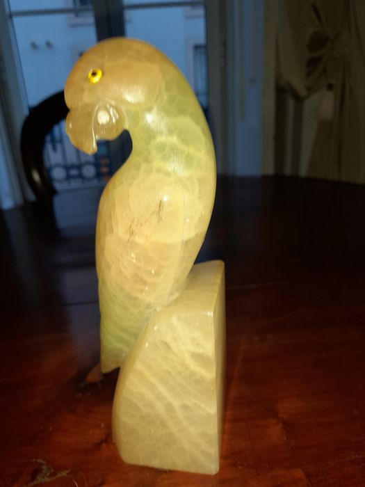 Papagaio  em jade bonito