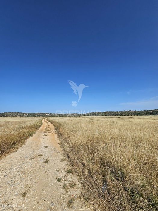 Terreno Rustico com 8980 m2 situado  em Tunes — Algoz E Tunes, Faro