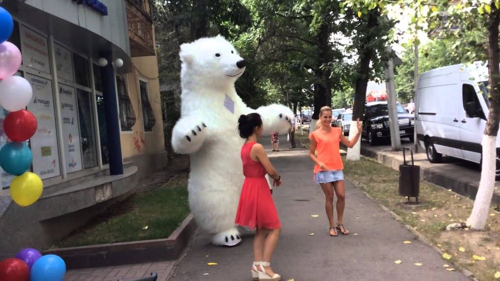 Аніматор Хепі Мішка.Білий ведмідь.Аніматори на ваше свято.Коломия
