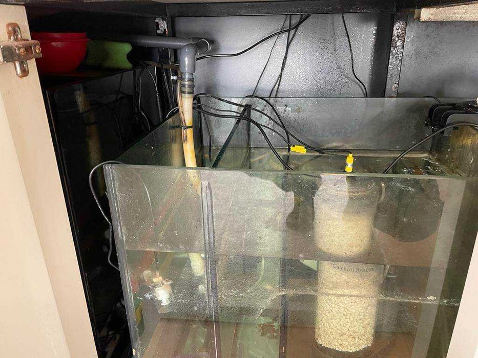 Aquário de 600 litros