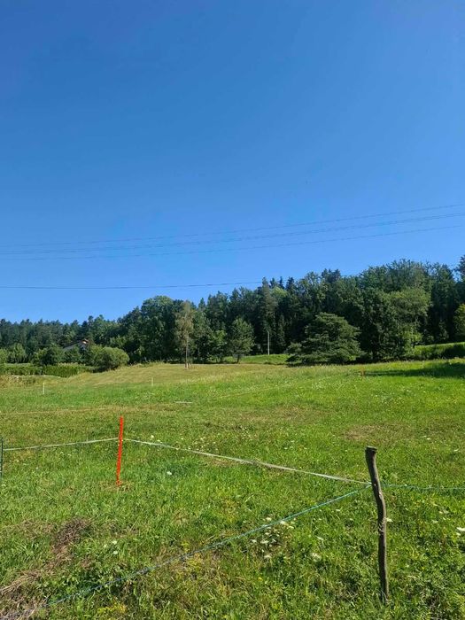 Działka budowlana 38 arów - Widok 2