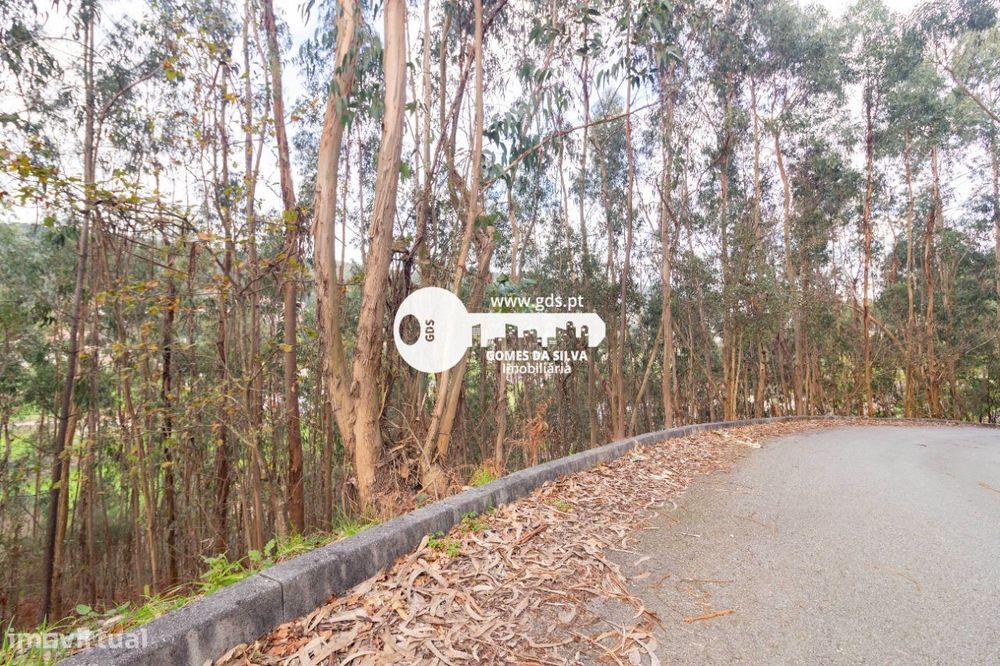 Terreno Rústico à Venda – 6.600m² | Naia, Morreira, Braga — Morreira E Trandeiras, Braga