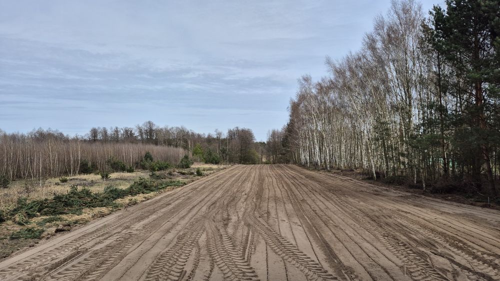 Mulczer Usługi mulczerem mulczowanie mulczer rekult. Skup lasów i drewna