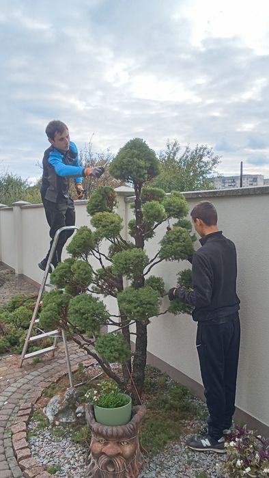 Послуги садівника