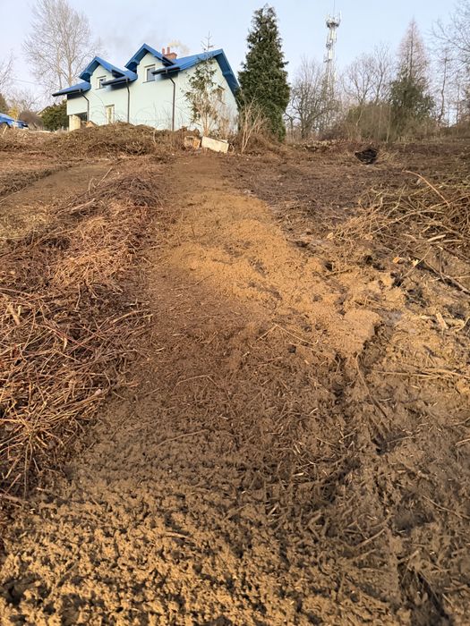 Uslugi mulczerem/ Mulczowanie/ koszenie nieużytków