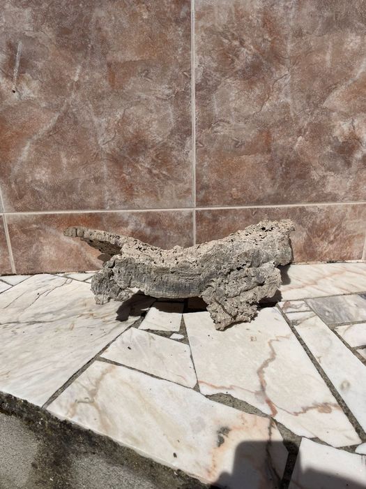 Cortiça para Terrário/Aquário - Mais informações dm