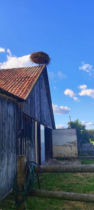 Gospodarstwo siedliskowe z dużą działką – Radzie, gm. Wydminy