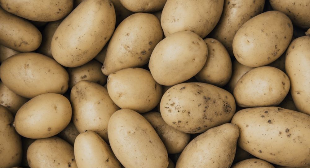 Ziemniaki soraya, vineta,  denar