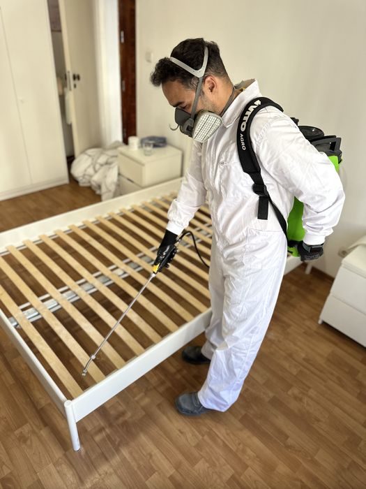 DESINFESTAÇÃO CONTROLO D EPRAGAS PERCEVEJOS BARATAS PULGAS TÉRMITAS