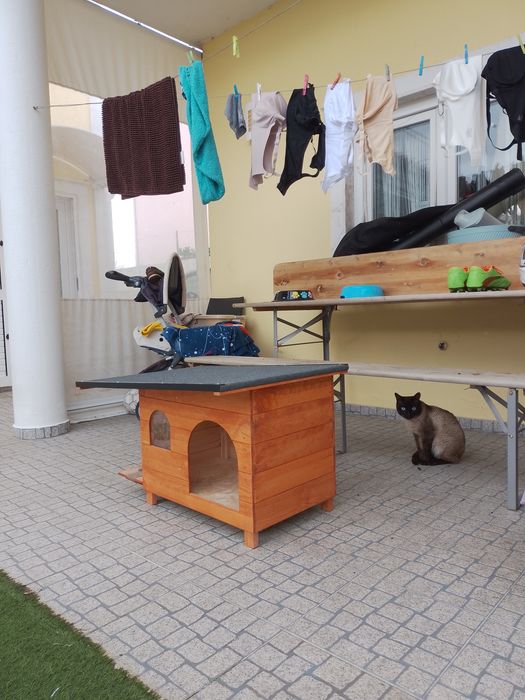 Casota de gato ou cao
