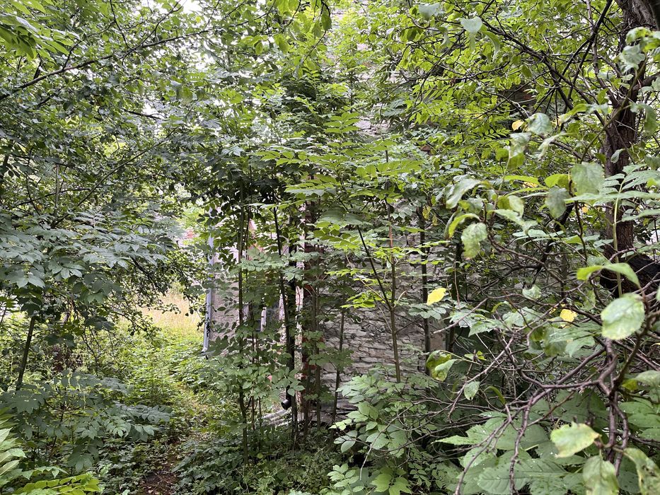 Dom – Klucze - Więcej