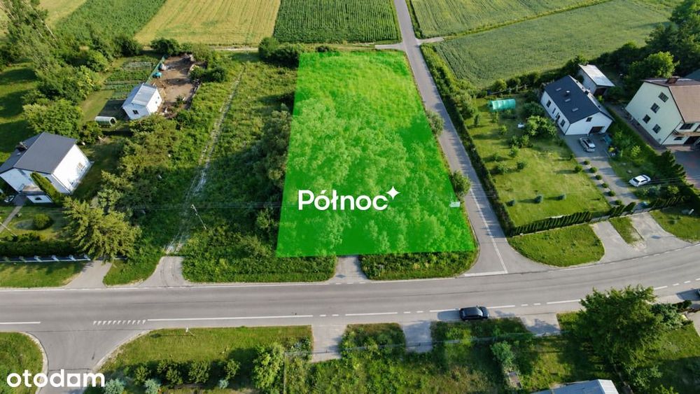 Zdjęcie 4