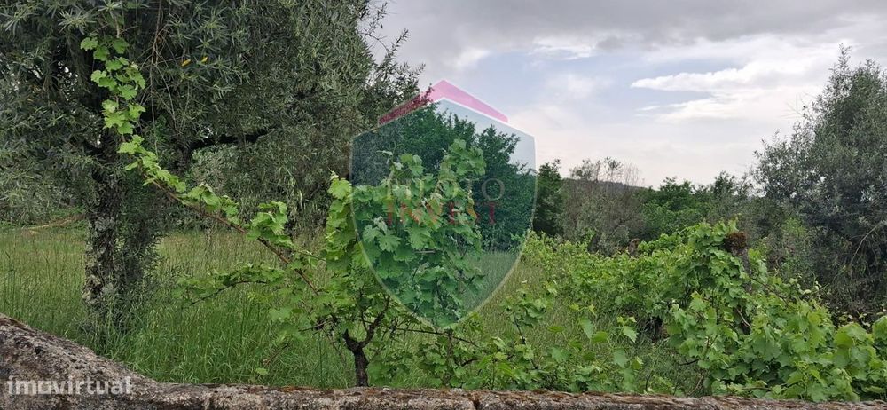 Terreno Para Construção  Venda em Santos Evos,Viseu