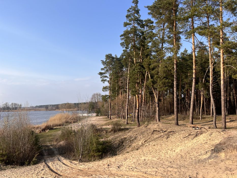 Продажа участка 108соток Вода Лес Таценки/земельна ділянка Ліс Вода