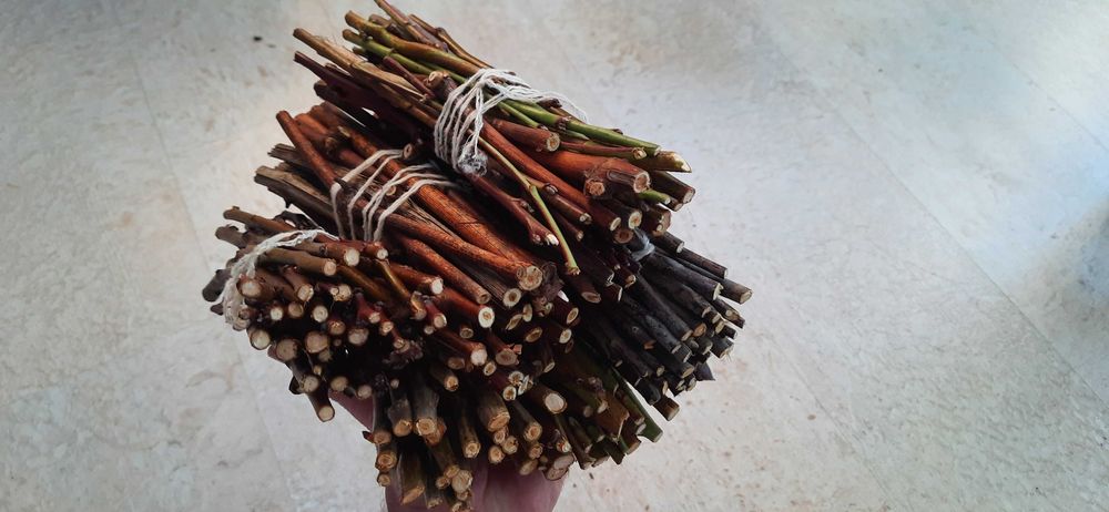 Гілочки для домашніх улюбленців-гризунчиків (погризушки)