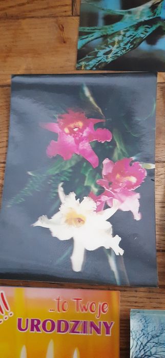 Pocztówki trójwymiarowe 7 sztuk pocztówki 3D