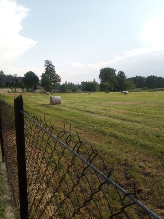 Wapno nawozowe granulowane.Cena za tonę Transport HDS.