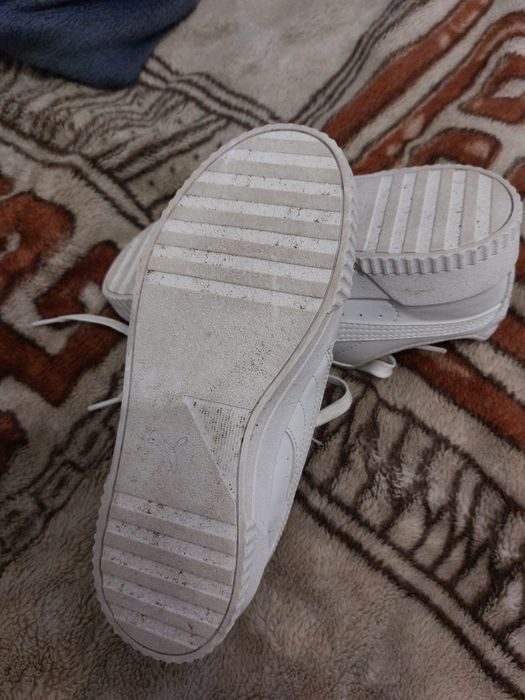 Кросівки    Puma