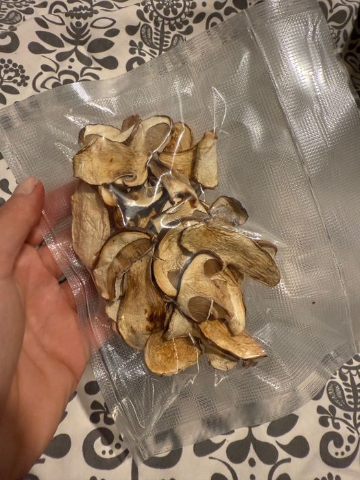 Prawdziwki suszone 2025