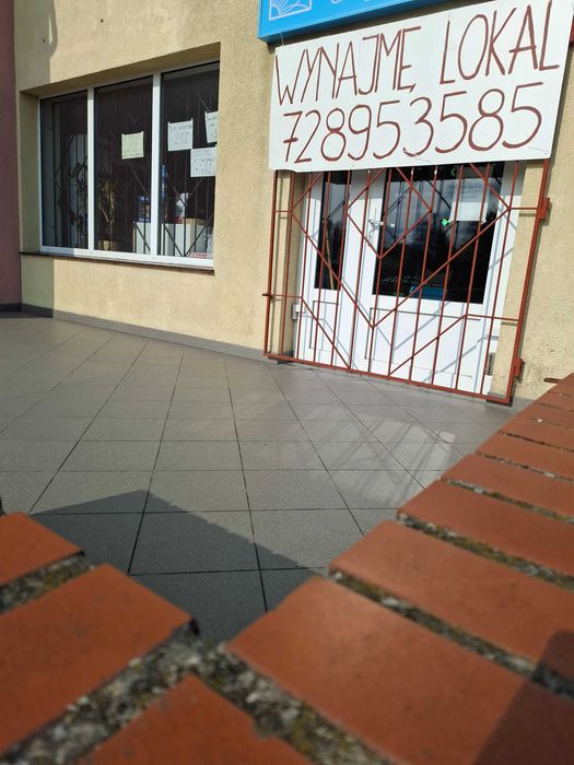 Lokal do wynajęcia