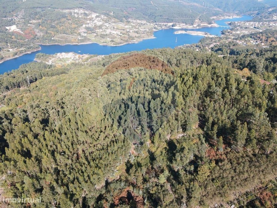 Terreno  para venda — Ribeira De Pena (Salvador) E Santo Aleixo De Além-Tâmega, Vila Real