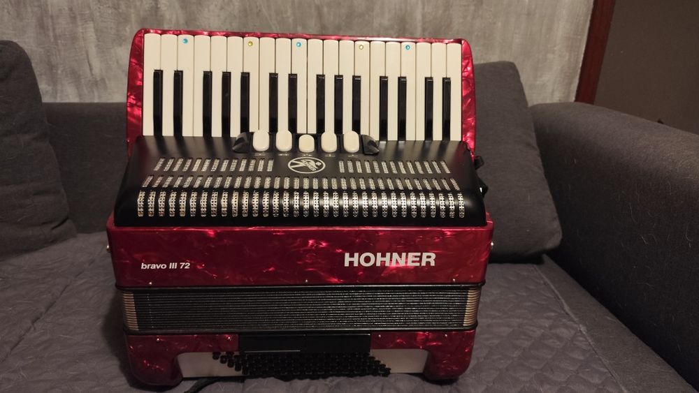 Vendo Acordeão HORNER