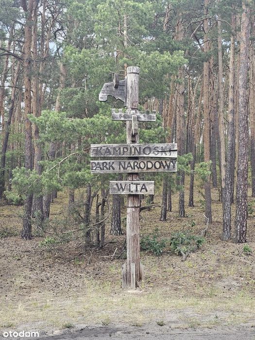 działka w otulinie Puszczy Kampinoskiej