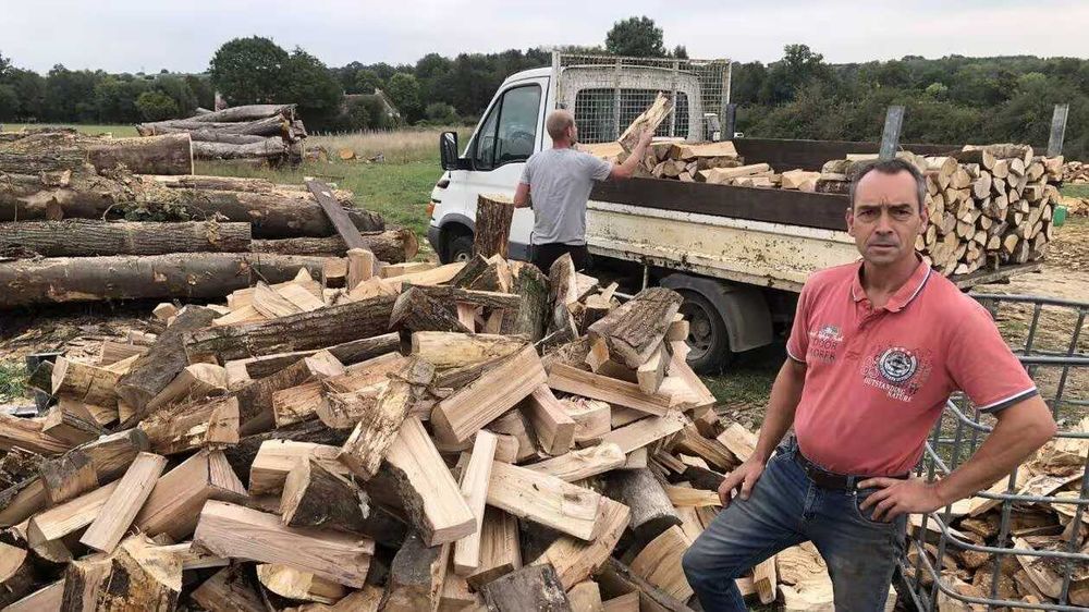 Lenha seca de confiança