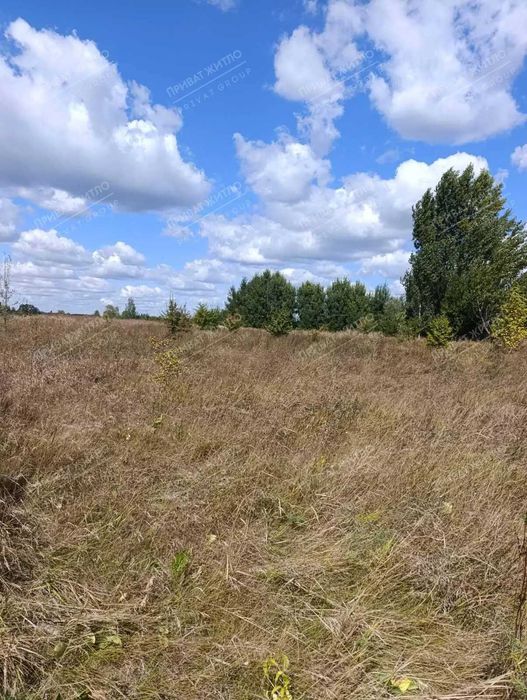 Продаж ділянки 15 соток у Новоселівці - місце, де хочеться жити та відпочивати!