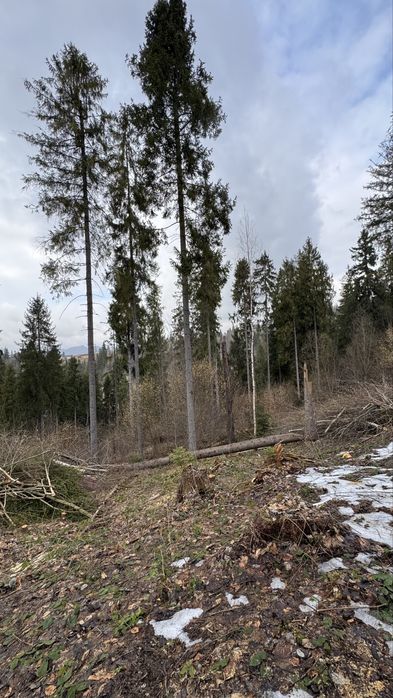 Земельна ділянка під інвестицію