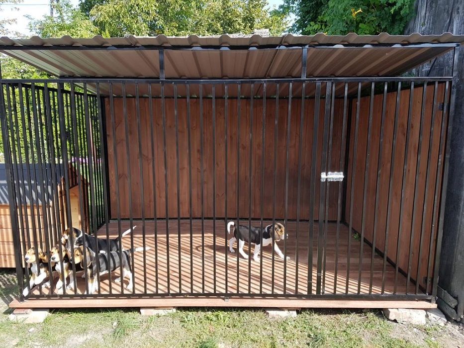 Kojec Klatka Zagroda Buda dla psa 3mx2m Montaż Gratis!