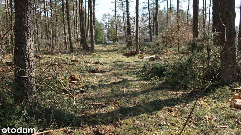 sprzedam działkę rekreacyjną nad jeziorem Jasień - Widok 3