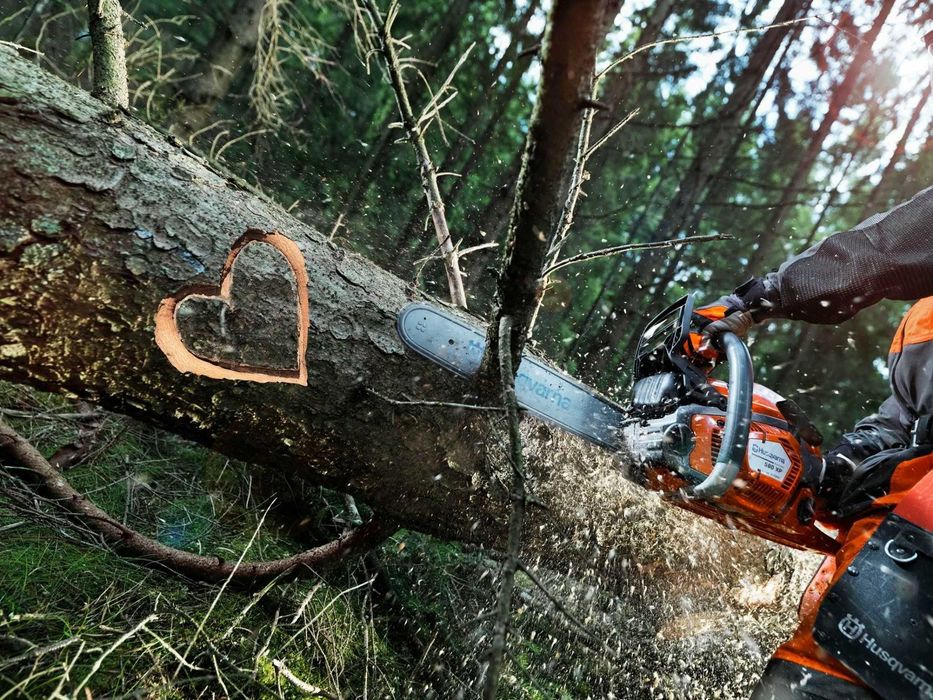 WYCINKA DRZEW - Pielęgnacja  drzew - Usługi podnośnikiem koszowym.