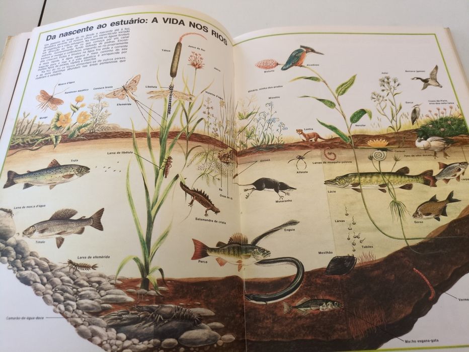 Maravilhas da Natureza de David Sharp