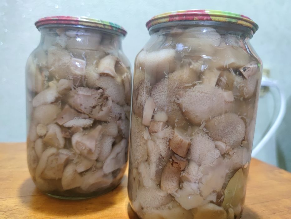 Грибы маслята 1 л