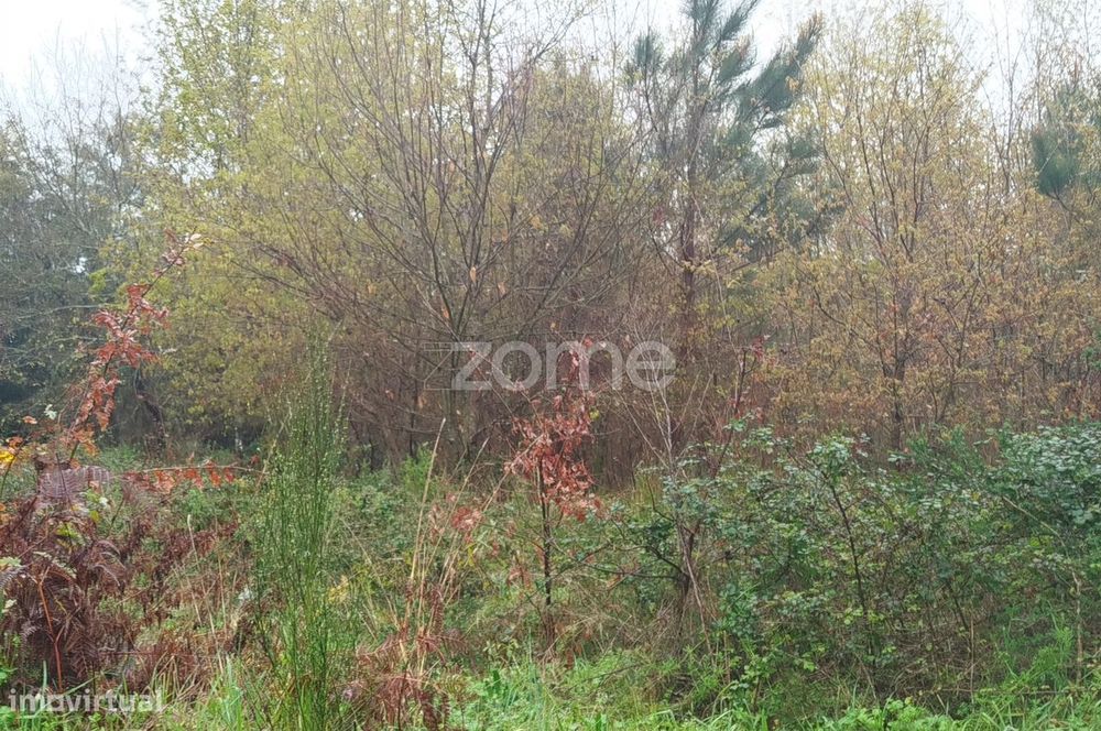 Terreno Urbanizável – O Local Perfeito para Construir a Sua Moradi...