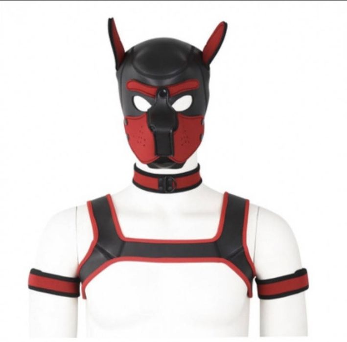 Комплект для гри в 59 Dog Bondage Gear Kit Black Секс-іграшки кекс-шоп