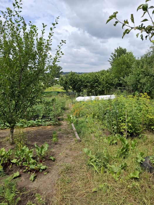 Цегляний будинок в селі Мотовилівська Слобідка, є піч