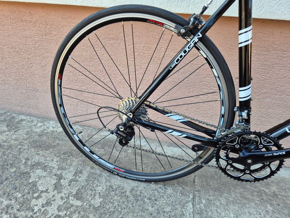 Rower szosowy Lee Cougan, alu/carbon, Campagnolo