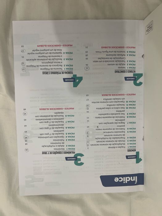 Caderno de atividades Prisma 8